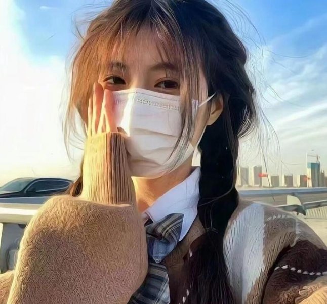 长袜子皮皮的新历险